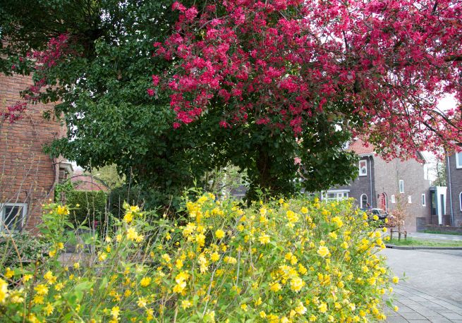 11-04-2012 kleuren zijn welkom