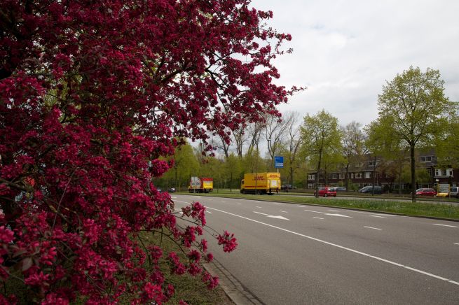 20-04-2012 kleuren zijn welkom