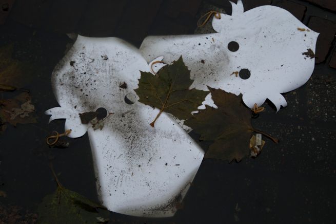 18-11-2012 hij is weg 3