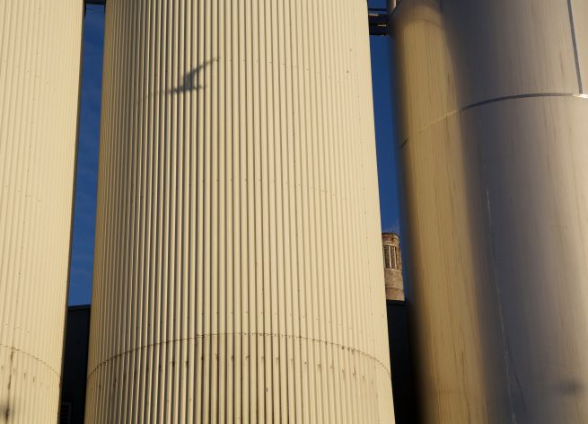 30-11-2012 doorheen met schaduw