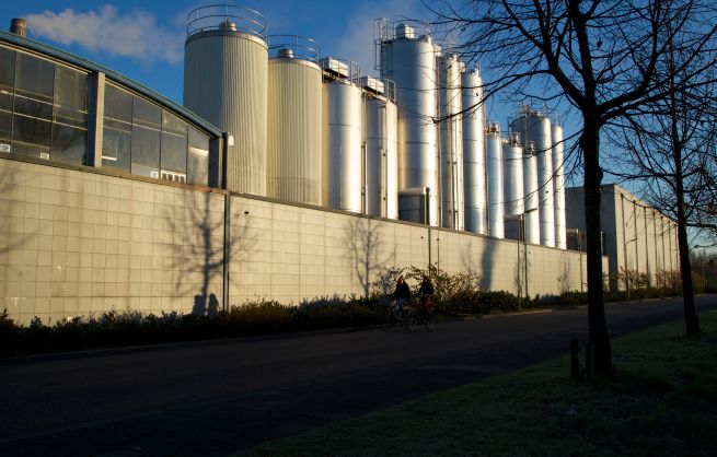 30-11-2012 ochtendlicht 2