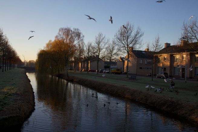 30-11-2012 ochtendlicht