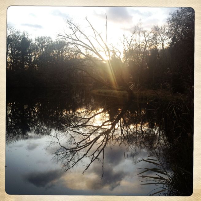 02-12-2012 stille plekken 1