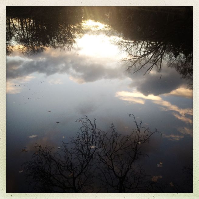 02-12-2012 stille plekken 2