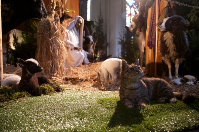 24-12-2012 Kerststal 1