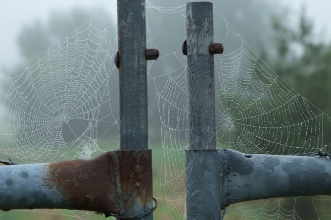 24-10-2013 mist-erieus 4