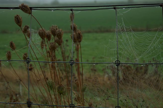 24-10-2013 mist-erieus 5