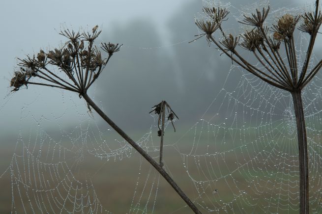 24-10-2013 misterieus 1