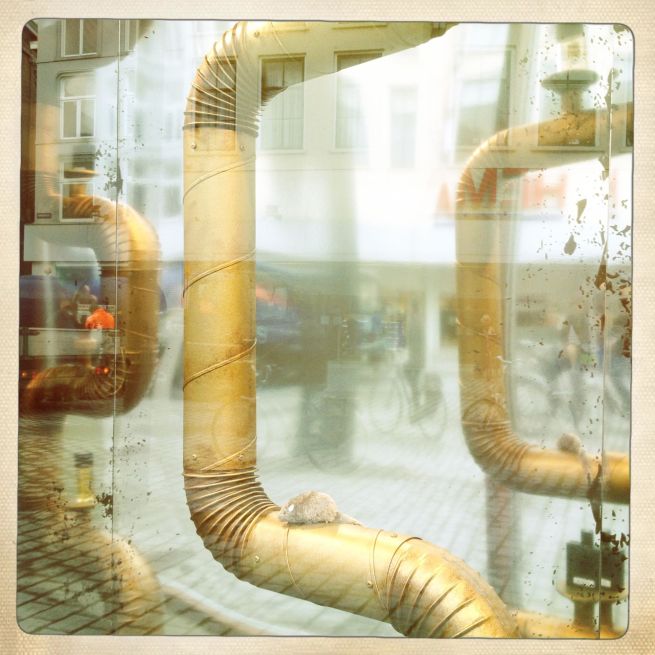 2013-11-19 spiegels 2