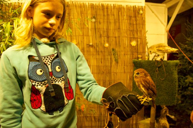 2013-11-29 goede doelen2