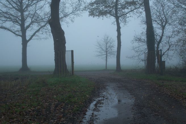 2013-12-03 misterieus 1