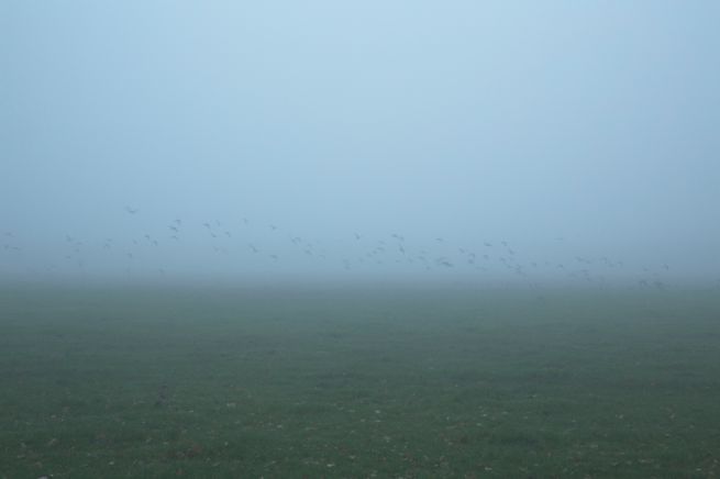 2013-12-03 misterieus 2