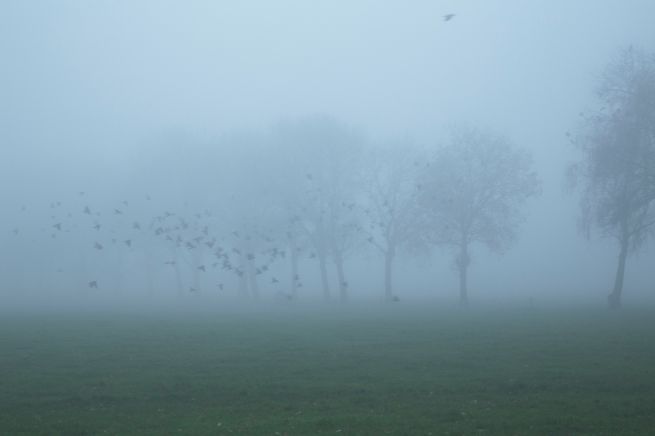 2013-12-03 misterieus 3