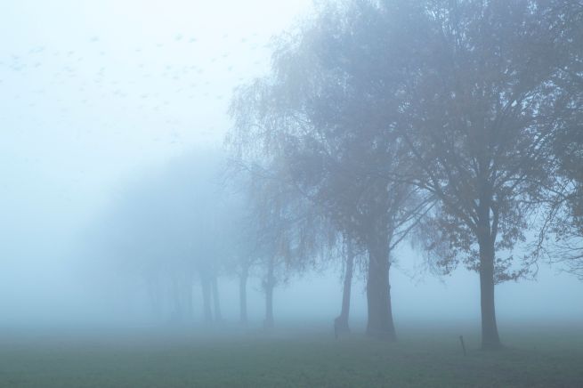 2013-12-03 misterieus 4