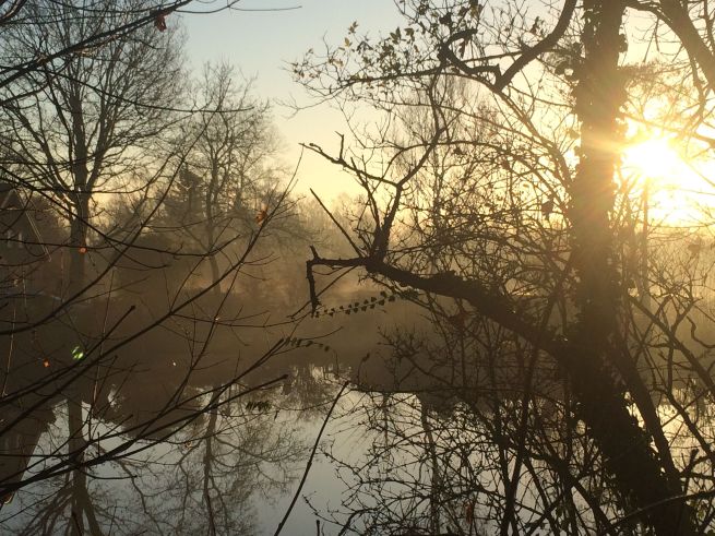 2013-12-10 ochtendlicht 1