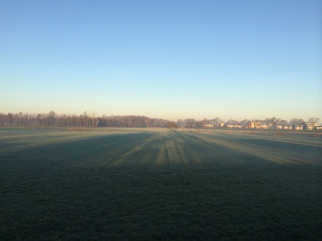 2013-12-10 ochtendlicht2