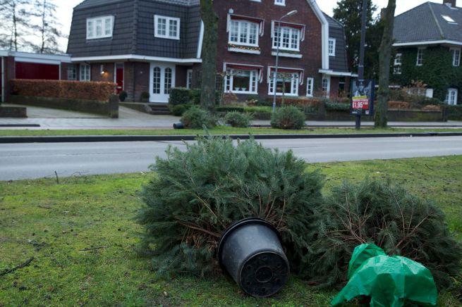 2014-01-06 3 Koningen 1