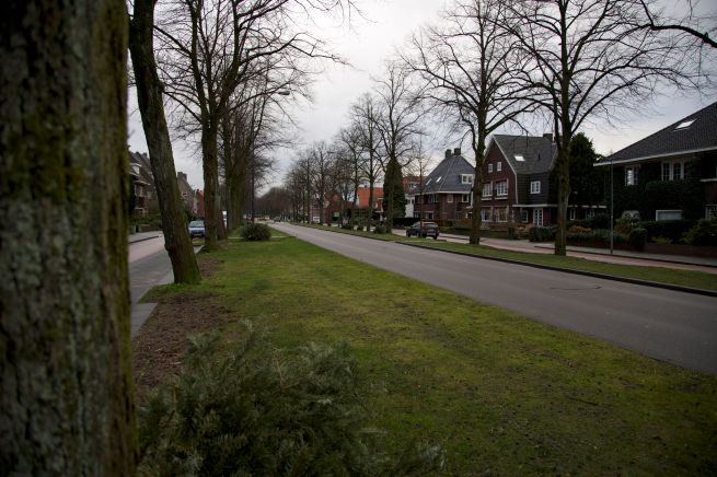 2014-01-06 3 Koningen 2