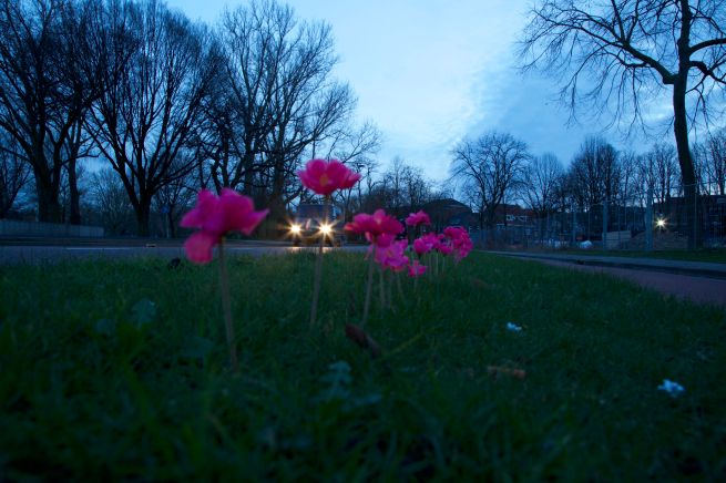 2014-01-18 kleuren zijn welkom 0