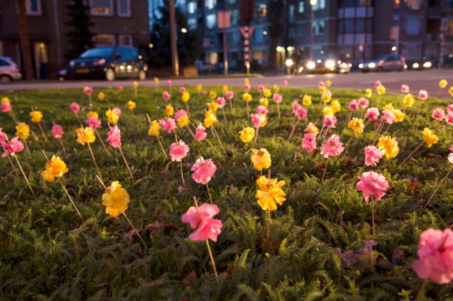 2014-01-18 kleuren zijn welkom 3