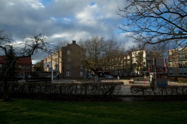 2014-02-05 middaglicht